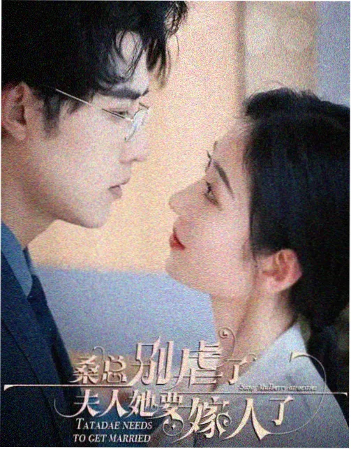 双城证词 剧集海报